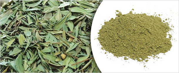 Senna leaves and pods powder, Jyotindra International